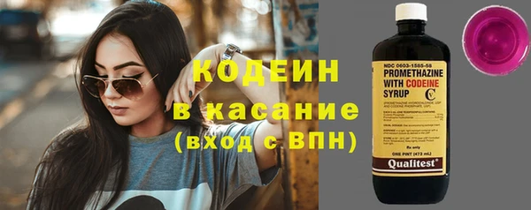 трава Няндома