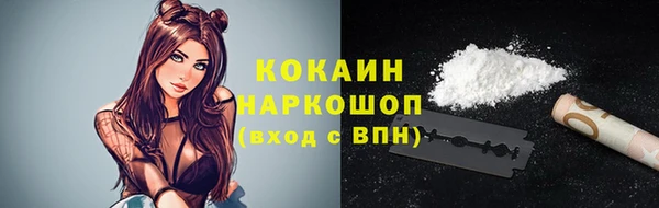 трава Няндома