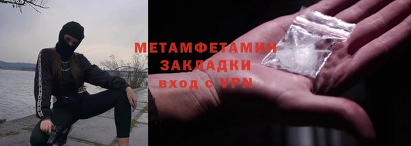трава Няндома