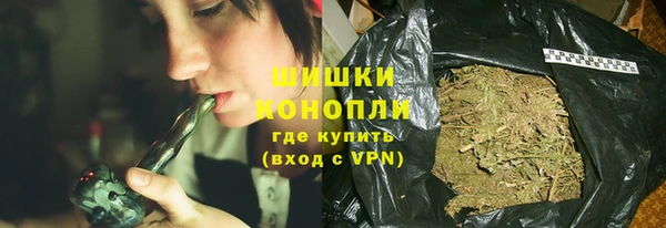 трава Няндома